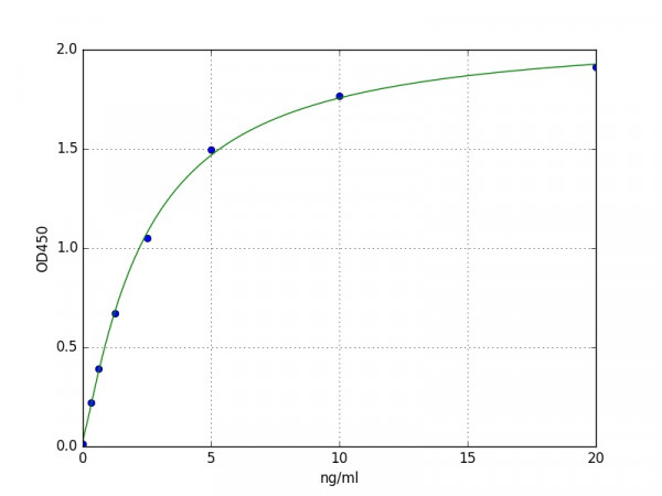 Human KI-67 / MKI67 ELISA Kit