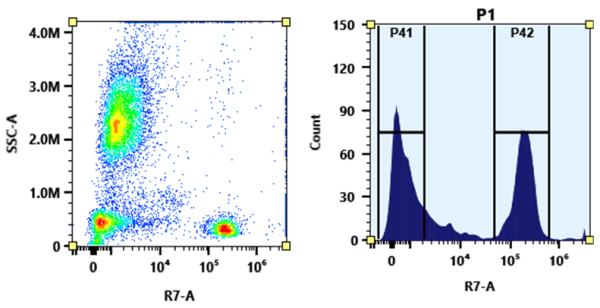 Buccutite(TM) Rapid APC-Cy7 Tandem Antibody Labeling Kit *Production Scale Optimized for Labeling 1