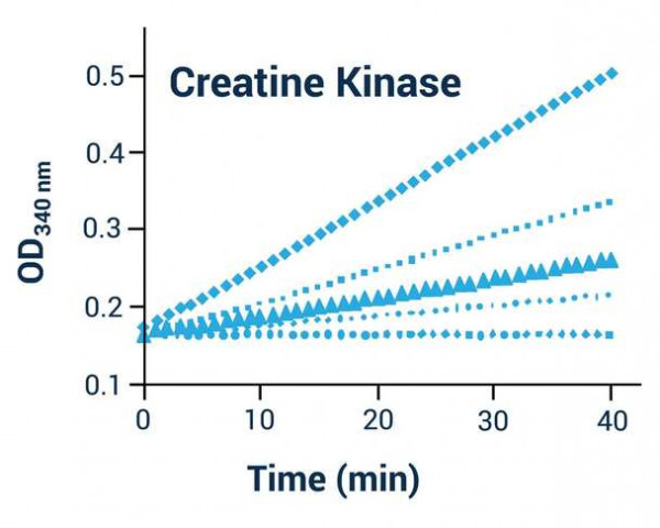 Creatine Kinase Activity Assay Kit (Colorimetric)