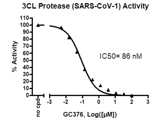 3CL Protease (SARS-CoV) Assay Kit