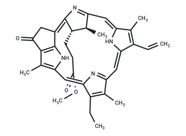 Methyl pyropheophorbide-a