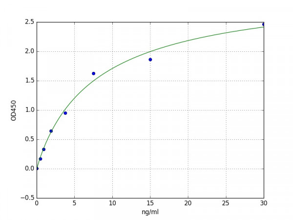 Human ELN / Elastin ELISA Kit