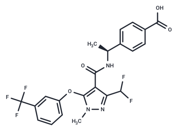 E7046
