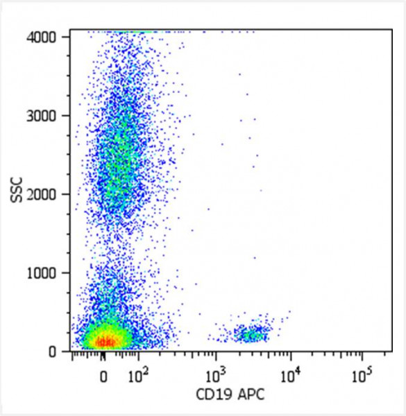 Anti-CD19, clone LT19 (APC)