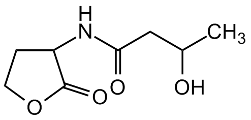 3-Hydroxy-butanoyl-DL-homoserine lactone