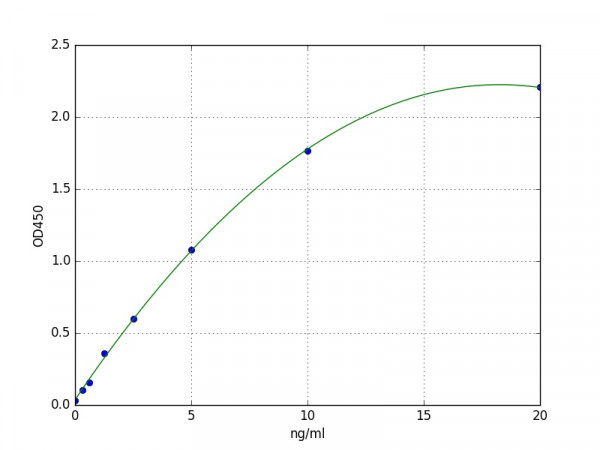 Human Phospholipase A2 Activating Protein / PLAA ELISA Kit