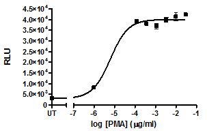 Foxp3 Reporter (Luc) - Jurkat Recombinant Cell Line