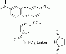 5(6)-TMR C6 malemide