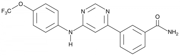 GNF-2
