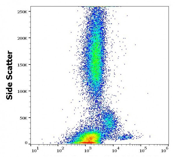Anti-CD180, clone G28-8