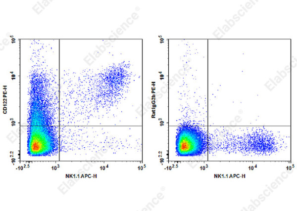 PE Anti-Mouse CD122 Antibody[TM-Beta 1]