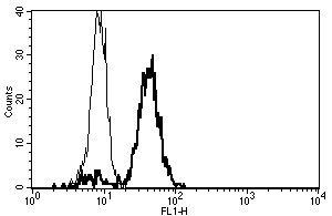 Anti-CD86 (azide free), clone B-T7