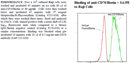 Anti-CD70 (human), clone BU69, Biotin conjugated
