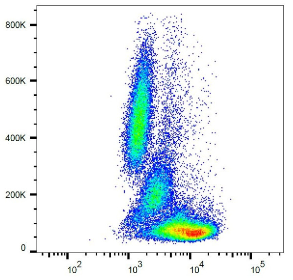 Anti-Bcl2, clone Bcl2/100/D5 (PE )