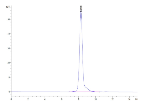 SELL/CD62L, His, Human