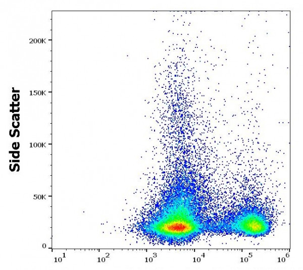 Anti-CD3, clone 145-2C11