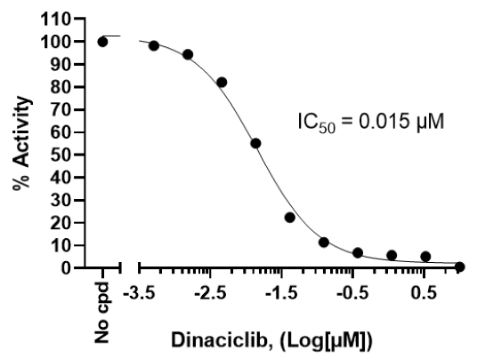 Chemi-Verse(TM) CDK14/Cyclin Y Kinase Assay Kit