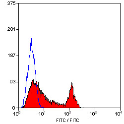 Anti-CD49f / Integrin alpha 6 (FITC), clone 450-30A
