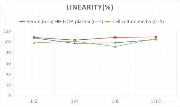 Human CG (Chorionic Gonadotropin) CLIA Kit