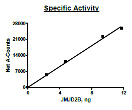 JMJD2B, active human recombinant protein