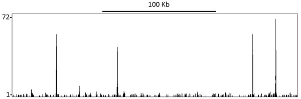 Anti-TIF1 Alpha/TRIM24