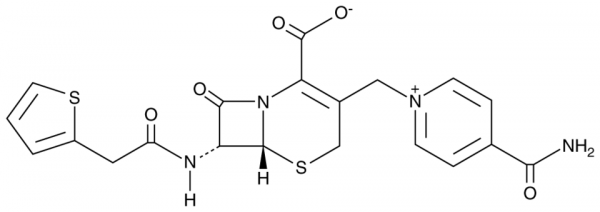 Cefalonium