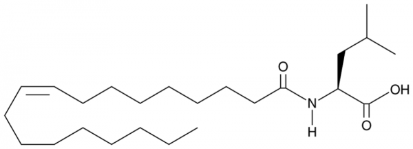 N-Oleoyl Leucine