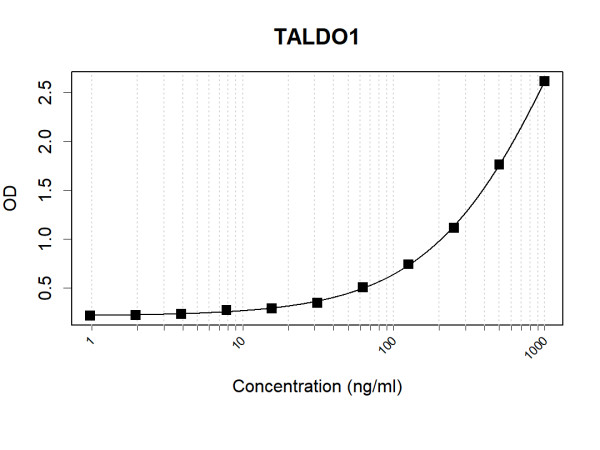 Anti-Human TALDO1 Antibody Pair