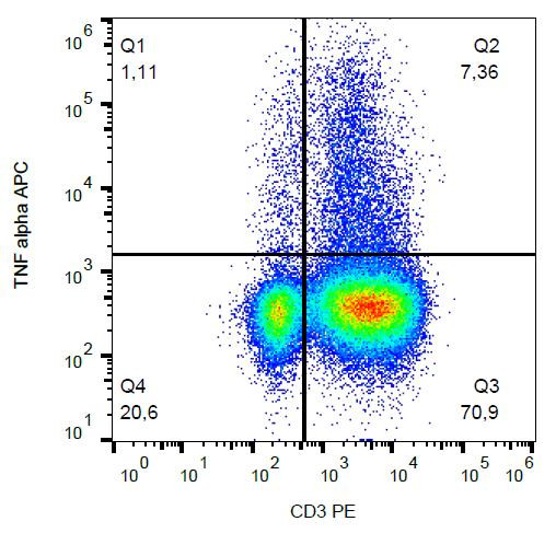 Anti-TNF-alpha, clone MAb11 (APC)