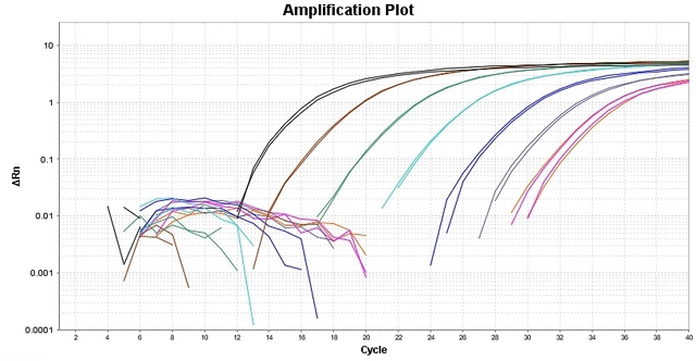 Amplification_Plot