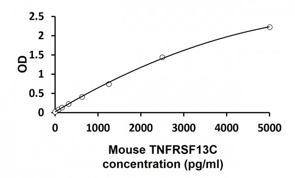 Mouse TNFRSF13C ELISA Kit