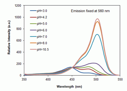 RatioWorks(TM) BCFL, AM *Superior replacement for BCECF*