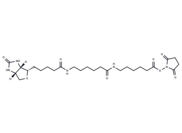 Biotin-LC-LC-NHS