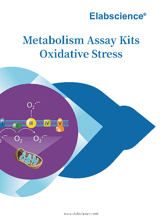 Elabscience Metabolism Assay Kits
