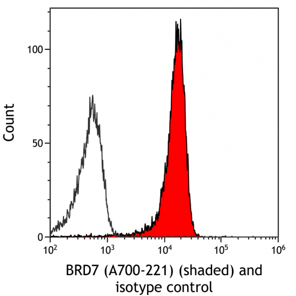 Anti-BRD7 Recombinant Monoclonal