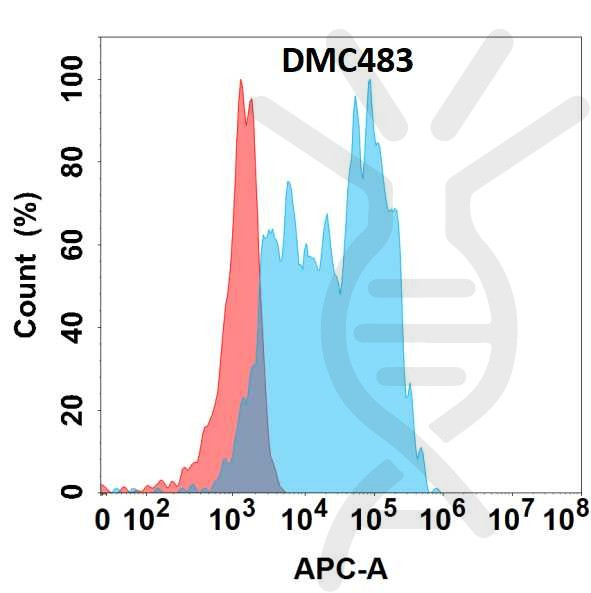 Anti-CHI3L1 antibody(DMC483), IgG1 Chimeric mAb
