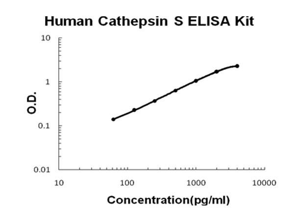 Human Cathepsin S ELISA Kit