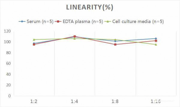 Rat LH (Luteinizing Hormone) CLIA Kit