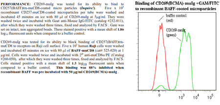 CD269 [BCMA] -muIg Fusion Protein, (human)