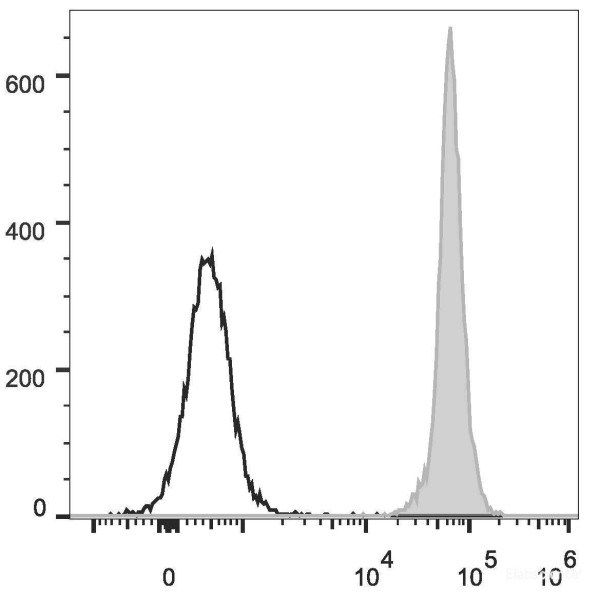 Anti-Rat CD45 (FITC Conjugated)[OX-1], clone OX-1