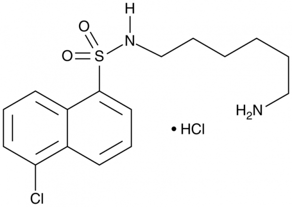 W-7 (hydrochloride)