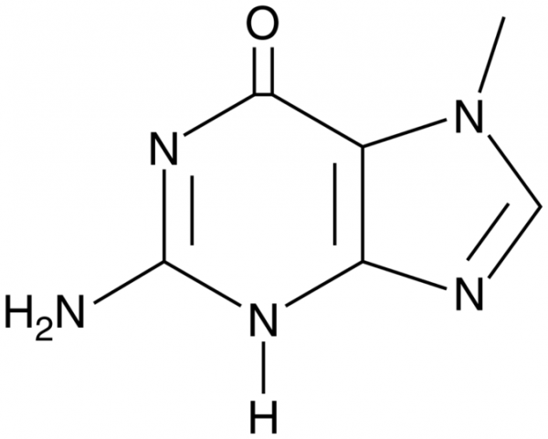7-Methylguanine