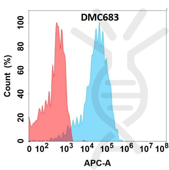 Anti-TENM4 antibody(DMC683), IgG1 Chimeric mAb