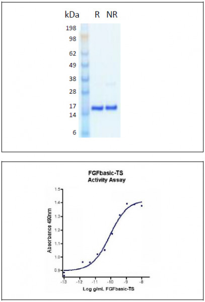 iif function in thermo sample manager iif function in thermo sample manager