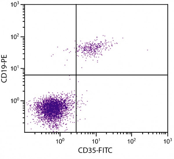 Anti-CD35 / CR1, clone E11 (FITC)