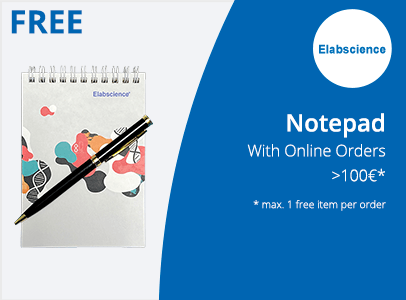 Notepad