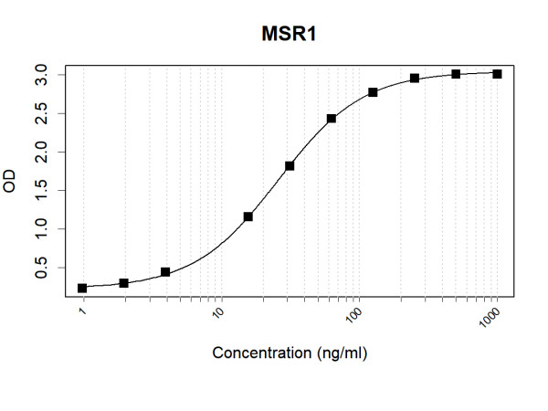 Anti-Human MSR1 Antibody Pair