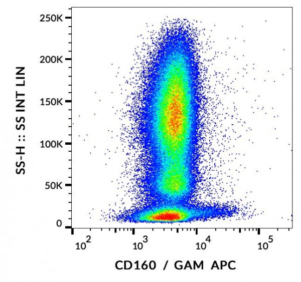 Anti-CD160, clone BY55