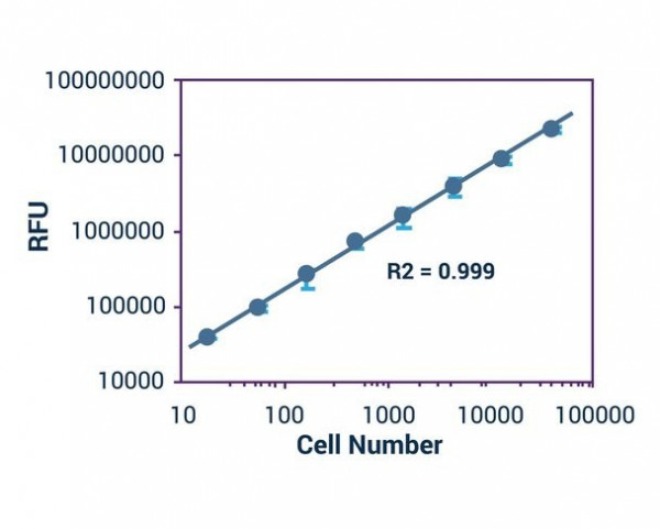 Cell Viability Assay (Colorimetric/Fluorometric)