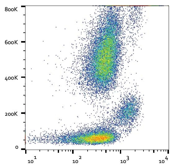 Anti-CD33, clone WM53 (PerCP)